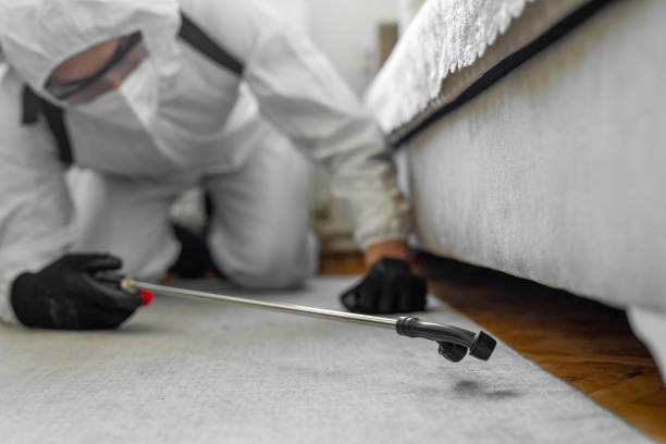 Professional Ant Control technician working in Tappahannock, VA